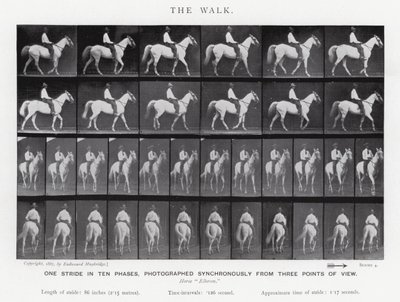 El Paseo de Eadweard Muybridge