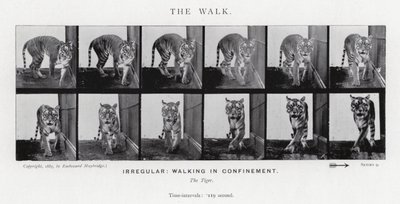 El Paseo de Eadweard Muybridge