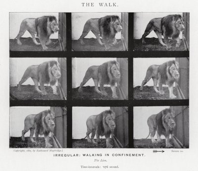 El Paseo de Eadweard Muybridge