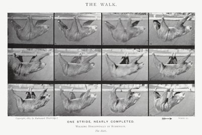 El Paseo de Eadweard Muybridge