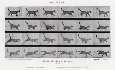 El Paseo de Eadweard Muybridge