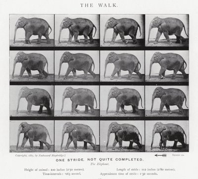 El Paseo de Eadweard Muybridge