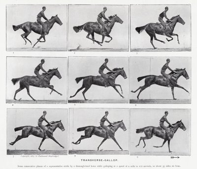 Eadweard Muybridge: Galope Transversal de Eadweard Muybridge