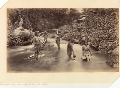 Recreaciones Vespertinas de los Recolectores de Café, San Isidro, de La Costa Pacífica de Centroamérica y México; el Istmo de Panamá; Guatemala; y el Cultivo y Embarque del Café. de Eadweard Muybridge