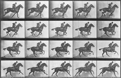 Caballo galopando, placa 628 de 
