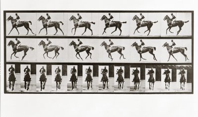 Caballo y jinete, Placa 621 de Animal Locomotion de Eadweard Muybridge