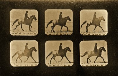 Caballos. Irregular, serie 