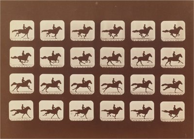 Caballos. Corriendo. Phyrne L. No. 40 de Eadweard Muybridge