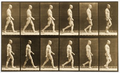 Secuencia de imágenes de un hombre desnudo caminando, serie 
