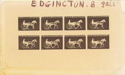 Internegativo para Caballos. Trote. Abe Edgington. No. 28 de Eadweard Muybridge