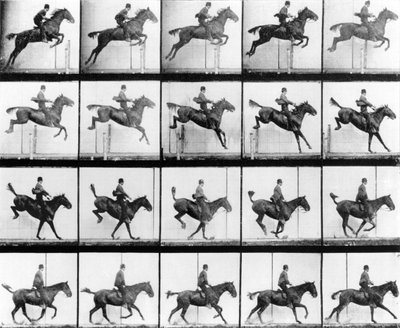 Hombre y caballo saltando, de 