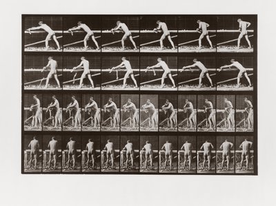 Hombre cepillando madera, Placa 379 de Animal Locomotion de Eadweard Muybridge