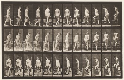 Placa 104. Girando y subiendo escaleras, cubo de agua en cada mano de Eadweard Muybridge