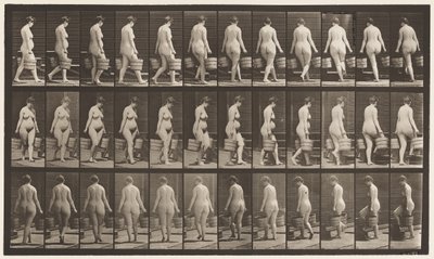 Placa 106. Girando para subir escaleras, cubo de agua en cada mano de Eadweard Muybridge
