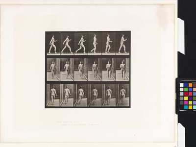 Placa 10. Caminando de Eadweard Muybridge