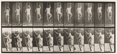 Placa 111. Subiendo una escalera de Eadweard Muybridge