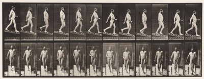 Placa 113. Bajando una pendiente, 1 en 4 de Eadweard Muybridge