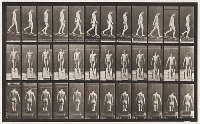Placa 114. Descendiendo inclinación, ángulo 1 en 4, 1872-1885 de Eadweard Muybridge