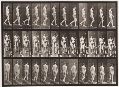 Placa 117. Bajando una pendiente de Eadweard Muybridge