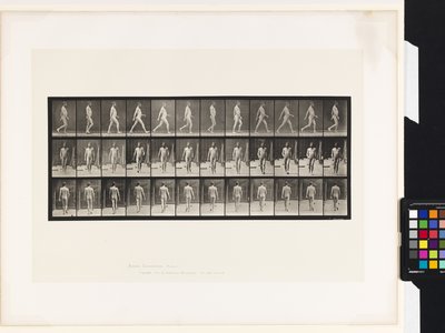 Placa 11. Caminando de Eadweard Muybridge