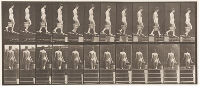 Placa 120. Descendiendo una pendiente, cubo de agua en la mano derecha de Eadweard Muybridge