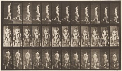 Placa 121. Bajando una pendiente, cubo de agua en cada mano de Eadweard Muybridge