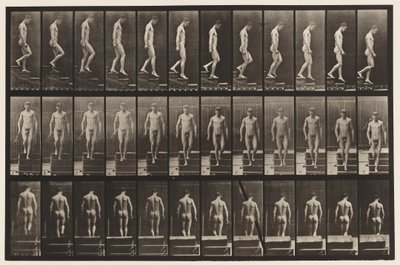 Placa 125. Bajando escaleras de Eadweard Muybridge