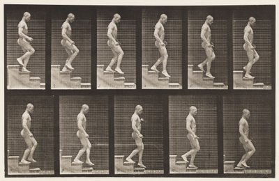 Placa 126. Bajando escaleras de Eadweard Muybridge