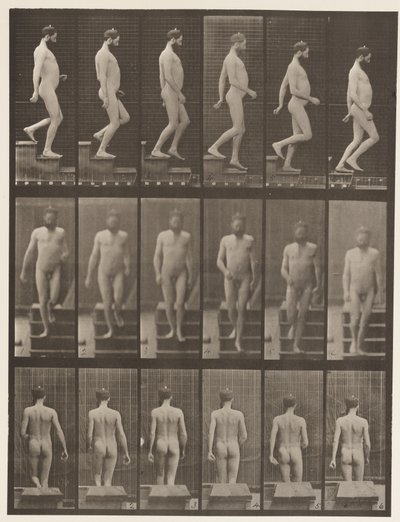 Placa 127. Bajando escaleras de Eadweard Muybridge