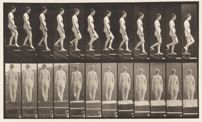Placa 129. Bajando Escaleras, Manos Juntas de Eadweard Muybridge