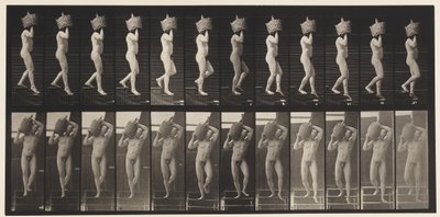 Placa 136. Bajando escaleras con damajuana llena en el hombro, 1872-1885 de Eadweard Muybridge