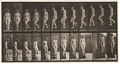 Placa 137. Bajando escaleras, girando de Eadweard Muybridge