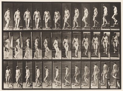 Placa 138. Bajando escaleras, girando; Jarra en la mano izquierda de Eadweard Muybridge