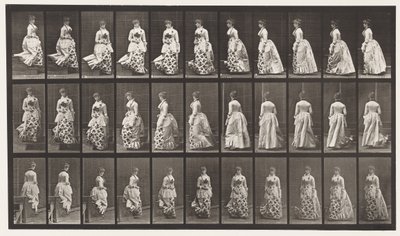 Placa 139. Bajando escaleras girando de Eadweard Muybridge