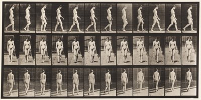 Placa 13. Caminando, 1872-1885 de Eadweard Muybridge