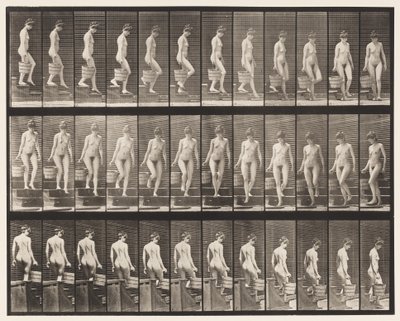 Placa 145. Bajando escaleras; girando, cubo de agua en la mano derecha de Eadweard Muybridge
