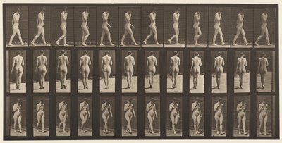 Placa 14. Caminando, mano derecha en la barbilla, 1872-1885 de Eadweard Muybridge