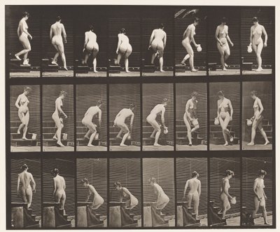 Placa 150. Bajando escaleras; agachándose, levantando una jarra, girando de Eadweard Muybridge