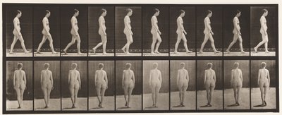 Placa 15. Caminando de Eadweard Muybridge