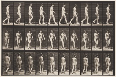 Placa 16. Caminando, 1872-1885 de Eadweard Muybridge