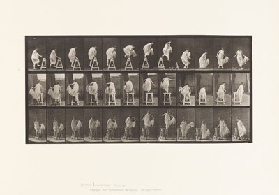 Placa 172. Pisando un caballete; saltando, girando, 1885 de Eadweard Muybridge