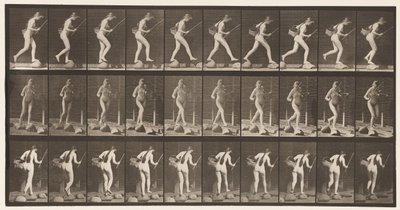 Placa 177. Cruzando un arroyo sobre piedras con caña de pescar y cesta de Eadweard Muybridge