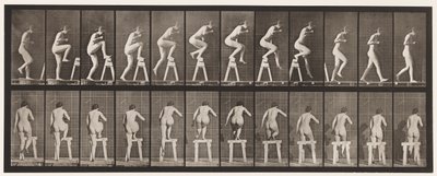 Placa 178. Pisando y cruzando un caballete de Eadweard Muybridge