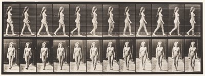 Placa 17. Caminando de Eadweard Muybridge