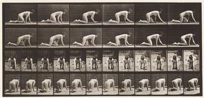 Placa 182. Gateando sobre manos y rodillas de Eadweard Muybridge