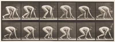Placa 183. Caminando sobre manos y pies de Eadweard Muybridge