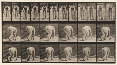 Placa 184. Caminando sobre Manos y Pies de Eadweard Muybridge