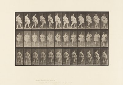 Placa 19. Caminando, Comenzando a Girar de Eadweard Muybridge