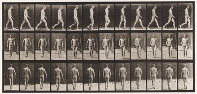 Placa 1. Caminando de Eadweard Muybridge