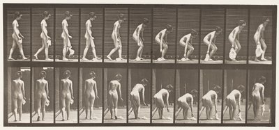 Placa 202. Dejando Caer y Levantando un Pañuelo de Eadweard Muybridge